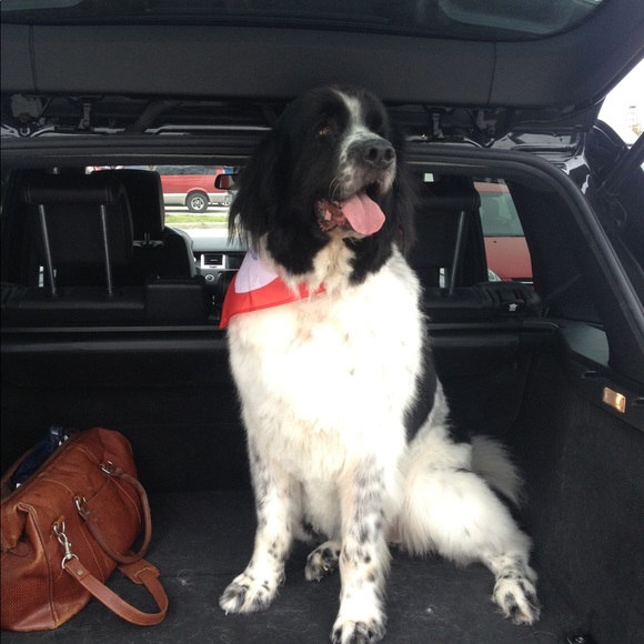 ✈️💖🛍 Kyle 🛍💖✈️ - Picture 6 of 8